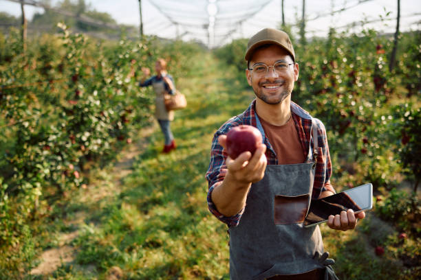 difference between farmers and teachers