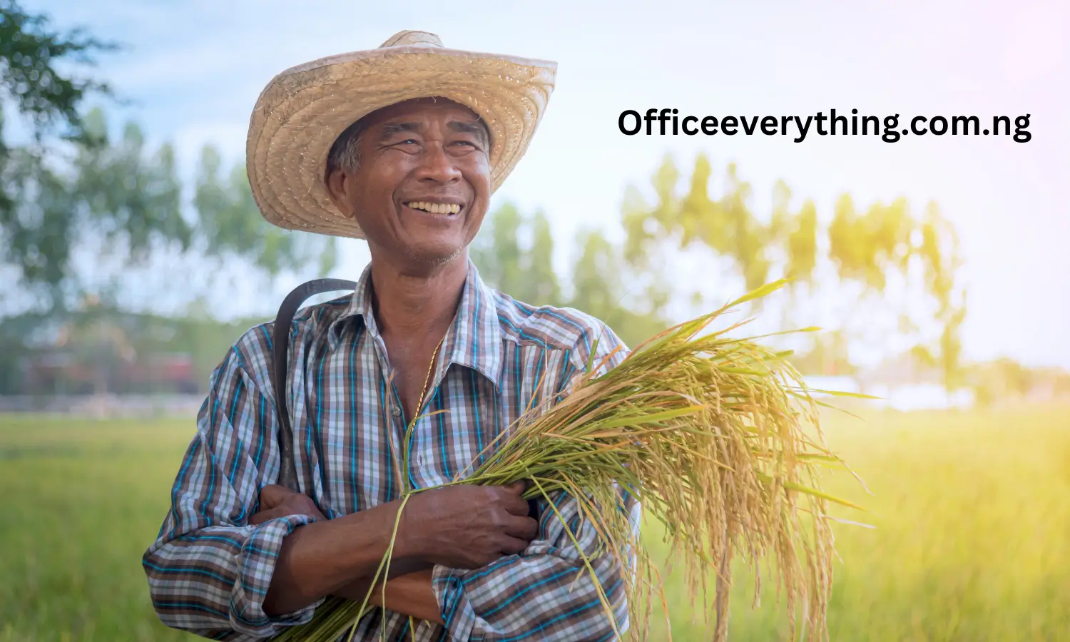 why farmer is better than teacher debate points