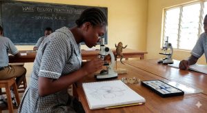 Practicals Specimen for Biology WAEC 2026: Valid List & How to Ace It Let’s be honest, the Biology practical is usually the moment most science students start to panic. You know the drill. You hear rumors that "snake" or "skeleton" is coming out, and suddenly everyone is scrambling to read everything. If you are searching for the Practicals specimen for Biology WAEC 2026, you are smart to start early. Waiting until the morning of the exam is a recipe for disaster. Here is the truth about the "Yellow Paper" (the instructions WAEC sends to schools). While the official list drops a few weeks before the exam, the specimens rarely change drastically. WAEC cycles through a specific set of organisms. So, instead of waiting for a "leak," let’s look at what you are highly likely to see and how to handle them. The "Usual Suspects": Likely Specimens for 2026 I’ve analyzed WAEC past questions for the last ten years. The examiners love consistency. They want to test if you can identify, classify, and draw. Based on these trends, here are the heavy hitters you should study right now. Group A: The Animals (Vertebrates & Invertebrates) You will almost certainly get an animal specimen. It’s usually something you can find in a typical Nigerian environment. Toad or Frog: They love asking for the dorsal view. Agama Lizard: Know the difference between the male (colorful) and female. Fish (Tilapia): Pay attention to the gills and fins. Termites/Soldier Ants: Usually linked to questions on social insects or adaptation. Pro Tip: Don't just look at the pictures. Understand their adaptive features. Why does the toad have webbed feet? Why does the lizard have dry scales? That is where the marks are. Group B: Plants & Fruits This section usually confuses students because many fruits look alike in black-and-white diagrams. Hibiscus Flower: The classic flower for teaching sexual reproduction. know the stamen and pistil. Shutterstock Pride of Barbados: Another common flower used for comparison. Maize vs. Bean Seed: This is for Monocot vs. Dicot questions. Fruits: Mango (drupe), Orange (hesperidium), and Tomato (berry). Know their mode of dispersal. Group C: Ecology & Physiology This is the part that doesn't involve drawing a whole animal. It often involves a process. Soil Samples: Loamy, Sandy, and Clay. You might need to test for water retention. Food Tests: Iodine solution (Starch), Biuret (Protein), and Benedict's solution (Sugar). Thermometer/Rain Gauge: Ecological instruments. How to Draw and Not Lose Marks I’ve marked scripts before, and it is painful to see brilliant students fail because of bad drawing skills. Biology drawings are not Art. We don't want "sketchy" artistic lines. 1. The Golden Rule: No Shading Never, ever shade a biology diagram. In Art, shading shows depth. In Biology, shading means you don't know what you are doing. Use clear, continuous lines. 2. Labeling Lines Your label lines must be drawn with a ruler. They should be horizontal and must not cross each other. If your lines cross, you lose the mark for that label. 3. Magnification Matters If the question says "Draw the specimen x1," draw it the exact same size. If it says "x2," draw it double the size. To calculate magnification: Magnification= Size of Specimen Size of Drawing ​ Always write the magnification at the bottom right of your drawing. Common Mistakes That Kill Grades You might think you know the Practicals specimen for Biology WAEC 2026, but knowing the specimen is only half the battle. Spelling Errors are Fatal In the theory section, you might get away with a small typo. In the practical section? No way. If you spell "Esophagus" or "Oesophagus" wrong, you score zero for that label. WAEC is very strict here. Vague Functions Don't just say "The skin is for protection." Protection from what? Mechanical injury? Desiccation? Be specific. Bad: "It is used for movement." Good: "It provides a large surface area for muscle attachment to aid swimming." Cramming Without Understanding I’ve seen students who memorized a diagram of a lizard, but when the specimen provided was a gecko, they still drew the lizard they memorized. Draw what you see, not what is in your textbook. Exam Day Checklist The morning of the exam is chaotic. Your lab attendant will be running around, and the smell of formalin might make you dizzy. Come prepared with these items: Sharp HB Pencils: Bring at least two. Mechanical pencils are great for sharp lines. Good Eraser: One that cleans without smudging. 30cm Ruler: For those label lines. Sharpener: A dull pencil is your enemy. Keep Your Ear to the Ground The official list usually circulates among teachers about 2-3 weeks before the exam. Check with your Biology teacher or check the WAEC official website for updates on the timetable. Also, resources like Khan Academy Biology are excellent for understanding the physiology parts of the practicals (like osmosis and photosynthesis) which often catch students off guard. Don't panic. You’ve done the work. Just follow the rules, keep your pencil sharp, and that A1 is yours. FAQ Is the specimen list out yet? As of late 2025, the official list for the 2026 exam is not yet public. It is usually released to schools in March/April. Can I use a pen for labeling? No. All drawings and labels must be done in pencil. Do practicals affect my total score much? Absolutely. The practical paper carries a significant percentage (usually 40%) of your total Biology score. You can pass theory and fail Biology if you bomb the practicals.